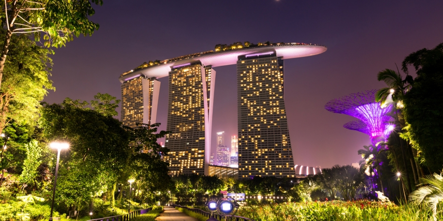 corporate tour packages