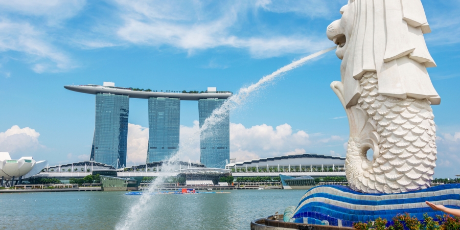 Corporate Tour Packages